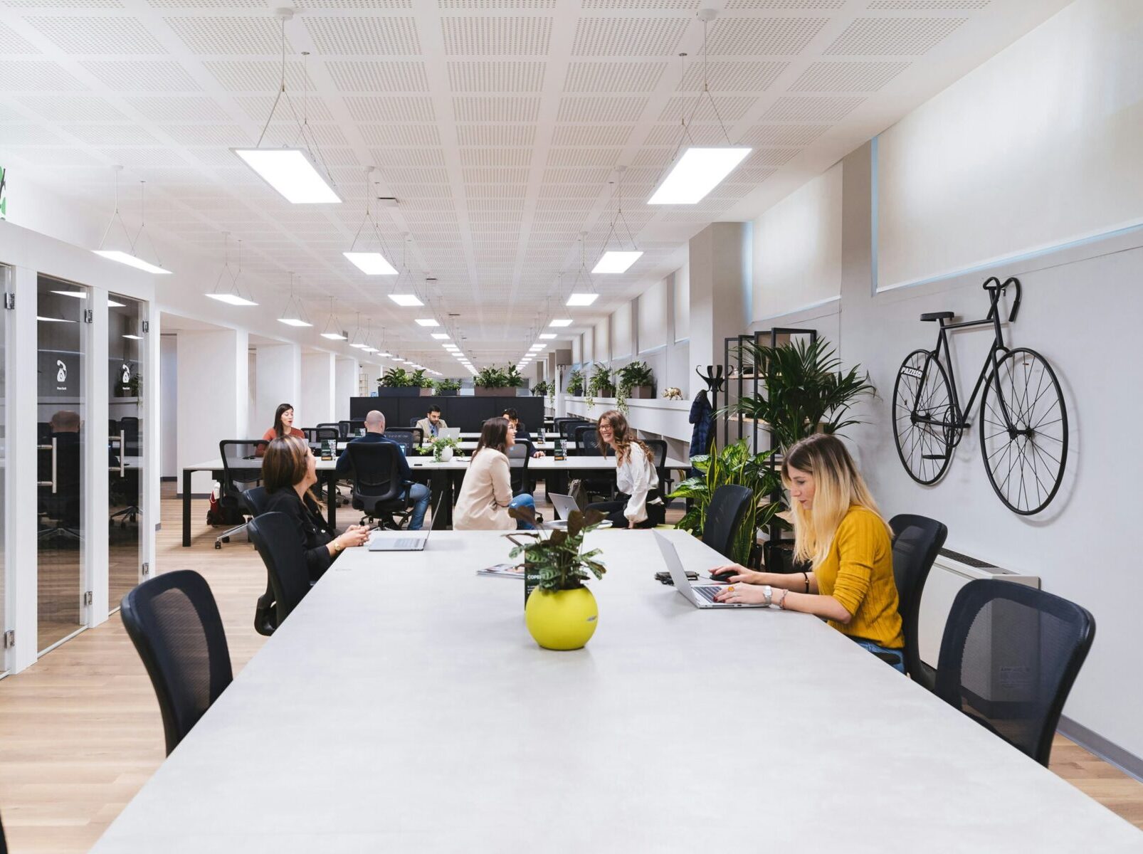 Espacio de coworking